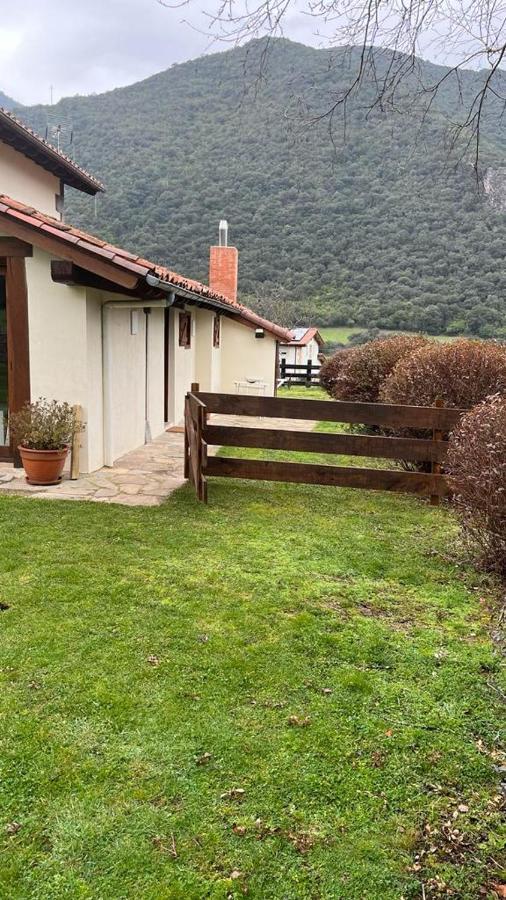 Excepcional Apartamento El Olivo Ojedo Extérieur photo